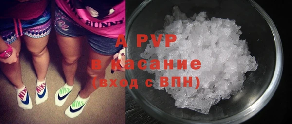 твердый Абаза