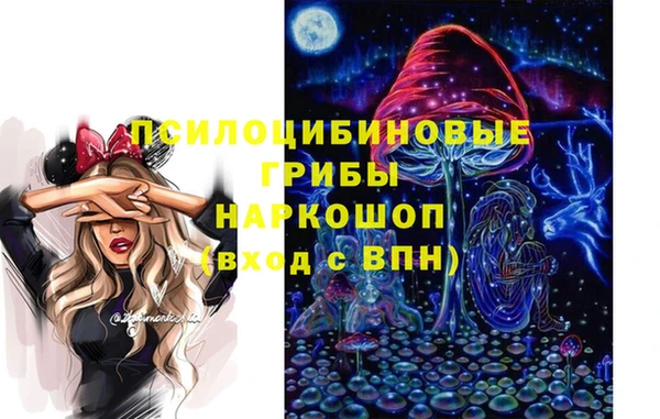 стаф Алексеевка