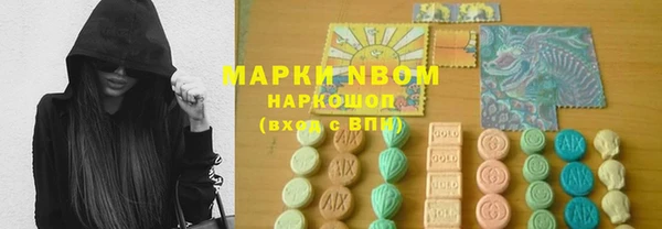 индика Алзамай