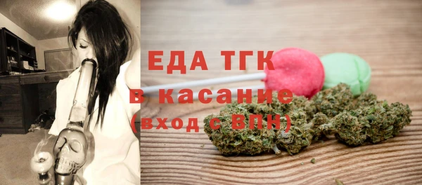 индика Алзамай