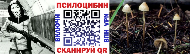 Галлюциногенные грибы Psilocybine cubensis  мориарти телеграм  Белоозёрский 